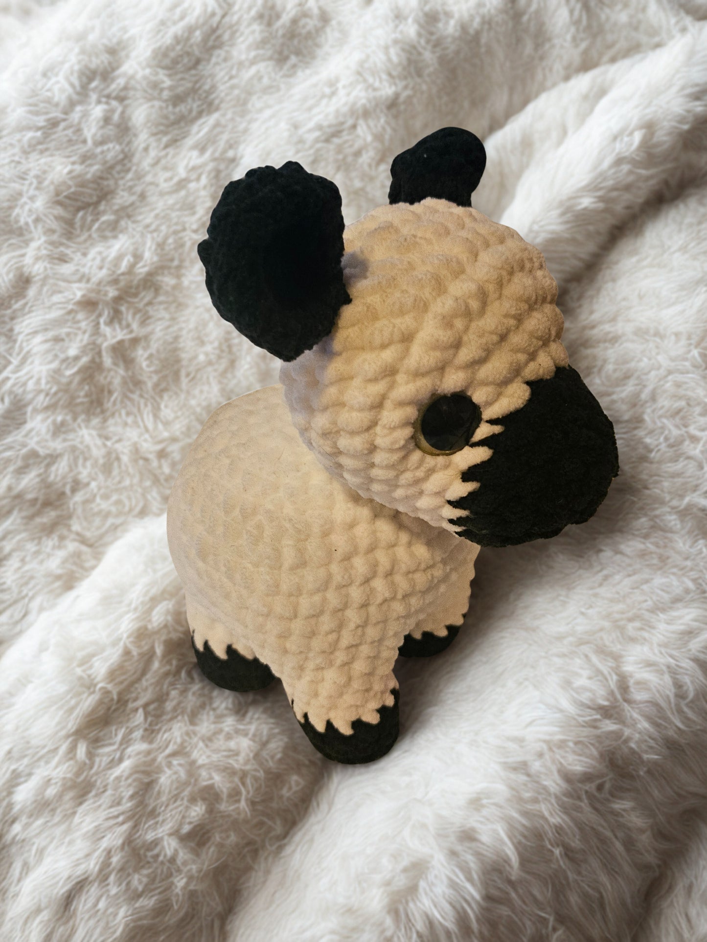 British white cow