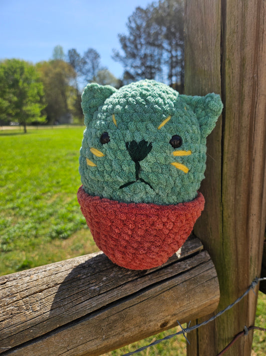 Cactus cat
