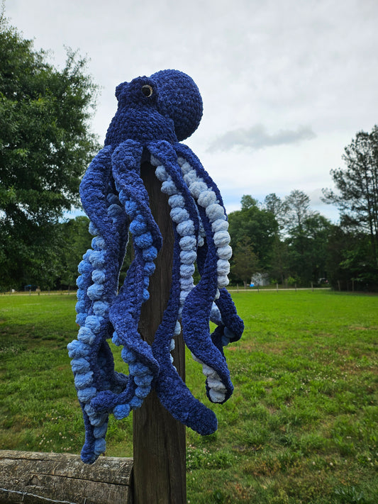 Octopus